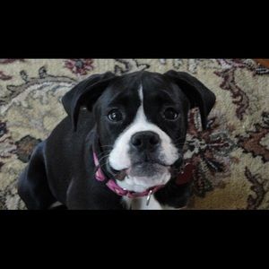 Meet your Posher, Mitch